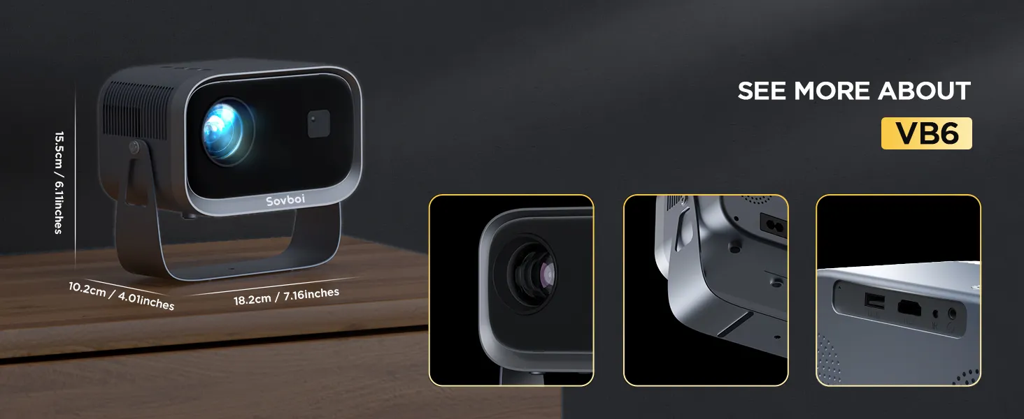 VB6 dimensions with close-ups of lens, stand and ports